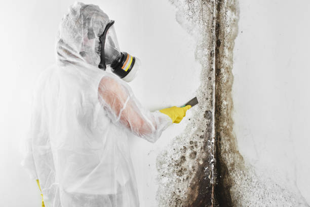 Water Damage Restoration in George Mason, VA