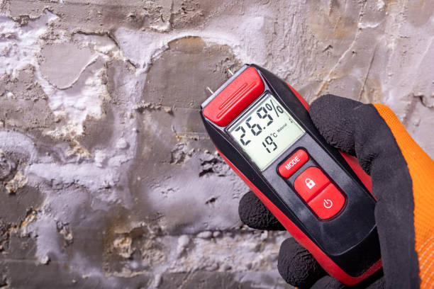 Best Crawl Space Mold Removal  in George Mason, VA