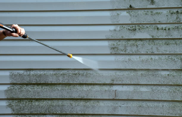 Best Crawl Space Mold Removal  in George Mason, VA