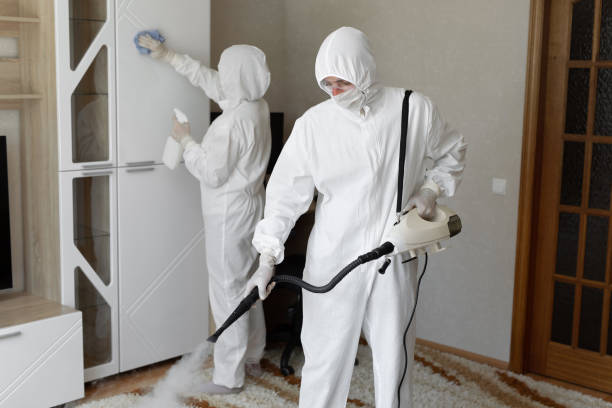 Best Mold Remediation  in George Mason, VA