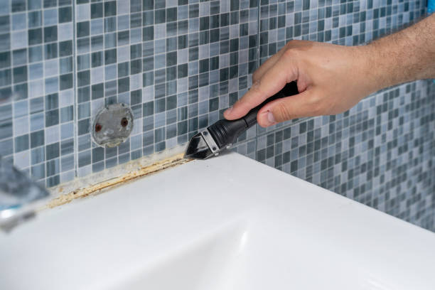 Best Same-Day Mold Removal  in George Mason, VA